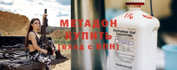 прущие грибы Покровск