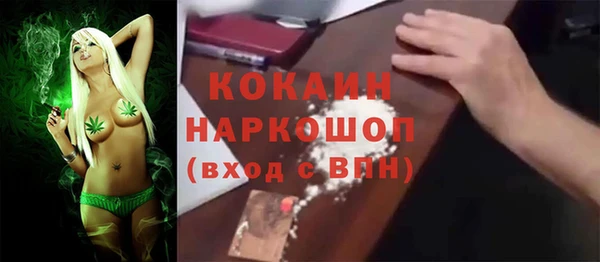 молекула духа Алексин